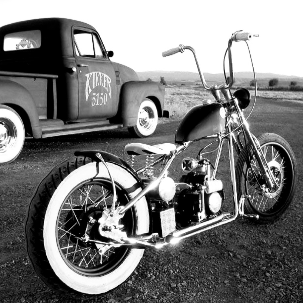 Meet your Posher, wild willie